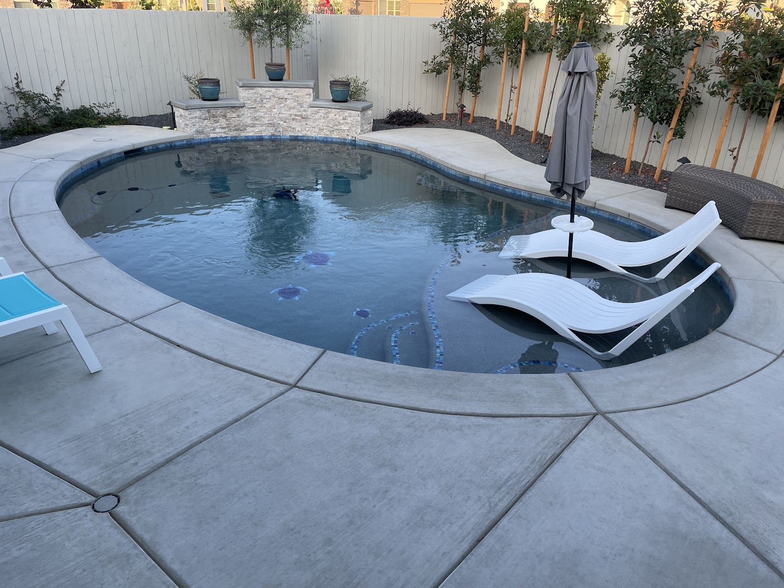 Resort-Style Pool with Saltwater System in Folsom